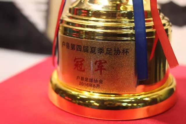 “拳”力出击！从四川到UFC擂台，是什么点亮他们的格斗梦想？